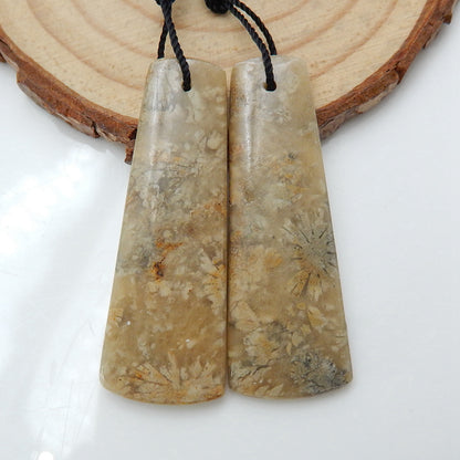 Natural Indonesian Fossil Coral Earrings Pair, stone for Earrings making, 40x15x4mm, 8.6g - MyGemGarden