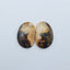Us Biggs Jasper Cabochon Pair, 20x13x3mm, 2.3g - MyGemGarden