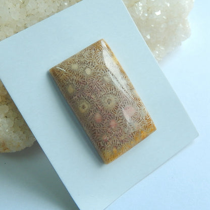 Natural Indonesian Fossil Coral Rectangle Gemstone Cabochon, 38x23x5mm, 10.65g - MyGemGarden