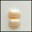 SALE Shell Gemstone Cabochon Pair, 14x9x5mm, 2.08g - MyGemGarden