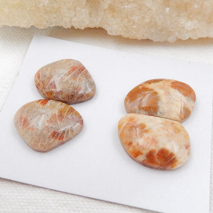 Sale 2 Pairs Indonesian Fossil Coral Gemstone Cabochons, 22x17x6mm, 22x15.5x6mm, 12.3g - MyGemGarden