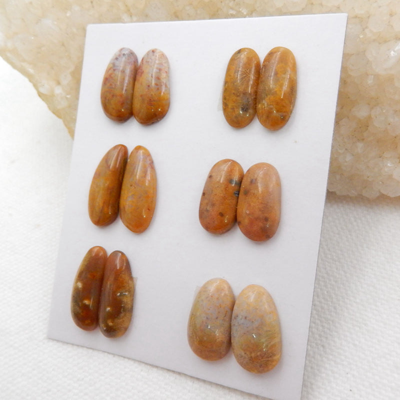 Sale 6 Pairs Indonesian Fossil Coral Gemstone Cabochons, 15x8x4mm, 15x8.5x4mm, 8.7g - MyGemGarden