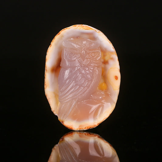 Red Agate Carved Owl Cabochon, 67x48x19mm, 61.1g - MyGemGarden
