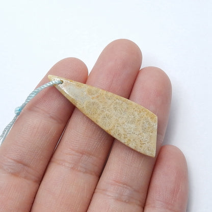 Natural Indonesian fossil coral Drilled Gemstone Pendant Bead, 40x12x5mm, 3.3g - MyGemGarden