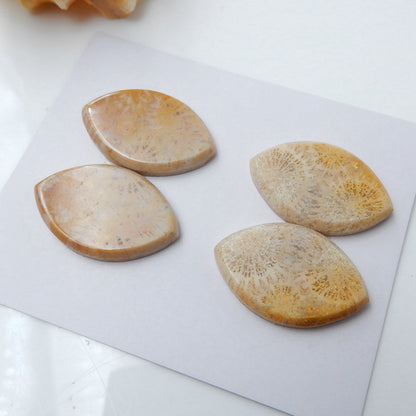 2 Pairs Natural Indonesian Fossil Coral Marquise Gemstone Cabochons, 25x16x3mm, 11.8g - MyGemGarden