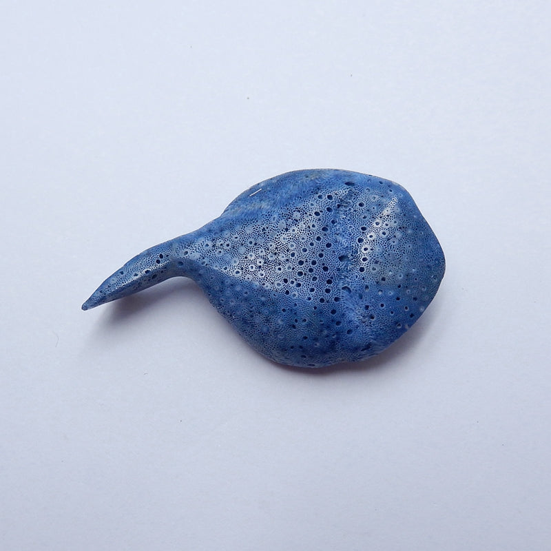 New Design!! Carved Blue Fossil Coral ray Gemstone Cabochon, 51x29x11mm, 11g - MyGemGarden