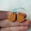 Natural Red Picture Jasper Drilled Earrings Pair19x16x4mm, 4.6g - MyGemGarden