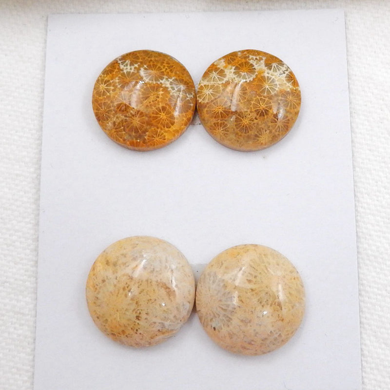 Sale 2 Pairs Indonesian Fossil Coral Round Gemstone Cabochons, 18x6mm, 12.4g - MyGemGarden
