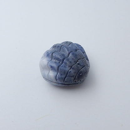 Blue Coral Carved Shell Gemstone Cabochon, 25x27x15mm, 12g - MyGemGarden