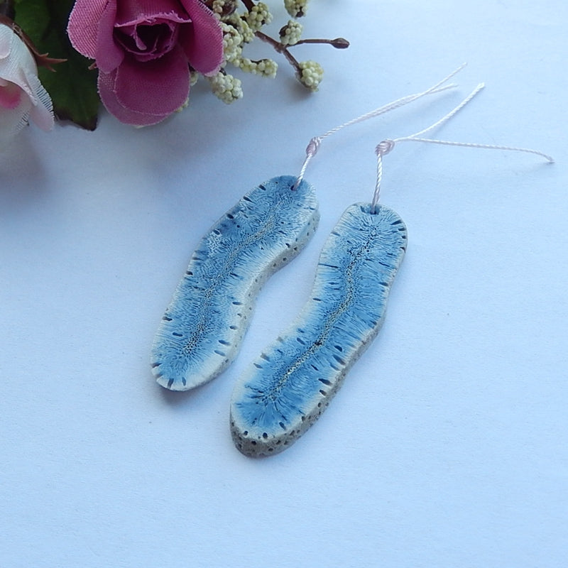 Natural Blue Coral Earrings Pair 49x13x3mm,44x15x3mm,6.1g - MyGemGarden