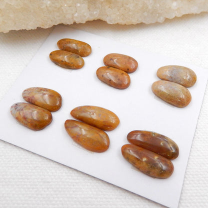 Sale 6 Pairs Indonesian Fossil Coral Gemstone Cabochons, 15x8x4mm, 15x8.5x4mm, 8.7g - MyGemGarden