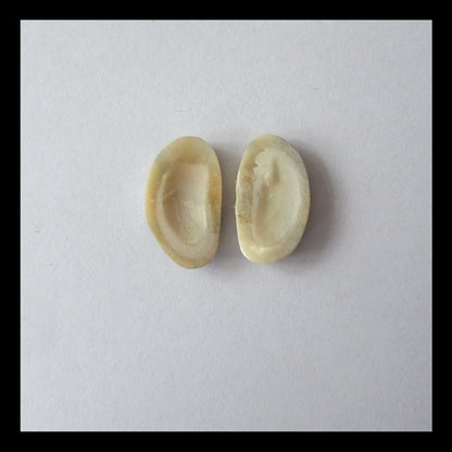 Shell Cabochon Pair 17x10x3mm,1.7g - MyGemGarden