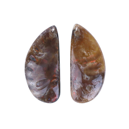 New Arrival Ammonite Fossil Cabochon Pair 27x12x4mm,4g - MyGemGarden