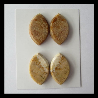 fossil Coral Cabochon,26x17x4mm,13g - MyGemGarden