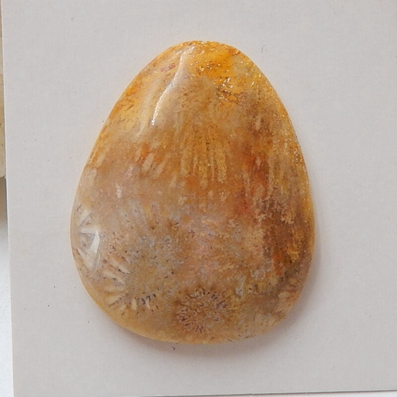 Natural Indonesian Fossil Coral Gemstone Cabochon, 29x24x6mm, 5.7g - MyGemGarden