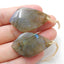 Flashy and Shining Labradorite Drilled Stone Earrings Pair, 37x22x6mm, 13.3g - MyGemGarden
