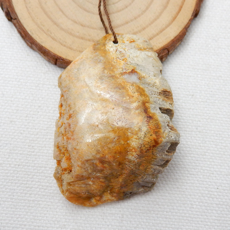 Natural Indonesian Fossil Coral Gemstone Pendant, Gemstone Rough, 55x38x17mm, 34.9g - MyGemGarden