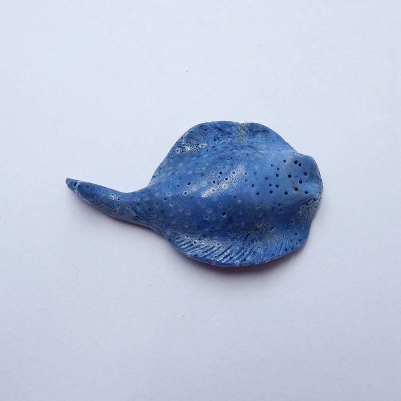 New Design!! Carved Blue Fossil Coral ray Gemstone Cabochon, 51x29x11mm, 11g - MyGemGarden