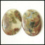 Gift From Natural Mushroom Jasper Cabochon Pair 24x17x3mm ,4.2g - MyGemGarden