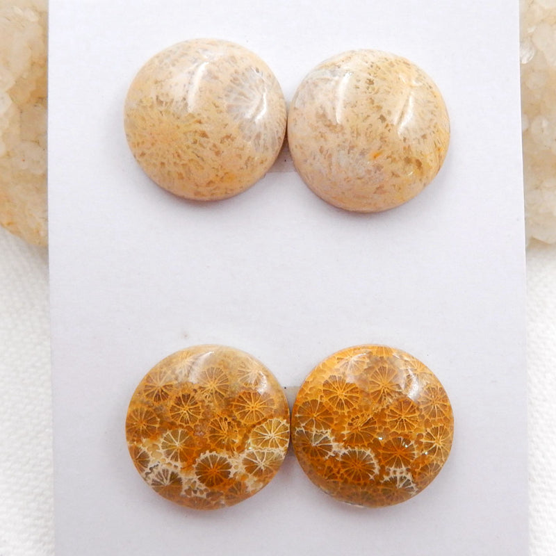 Sale 2 Pairs Indonesian Fossil Coral Round Gemstone Cabochons, 18x6mm, 12.4g - MyGemGarden