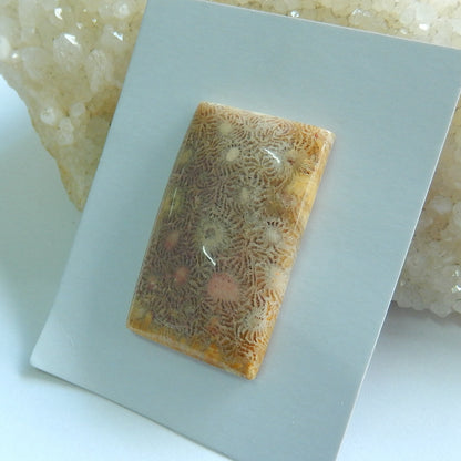 Natural Indonesian Fossil Coral Rectangle Gemstone Cabochon, 38x23x5mm, 10.65g - MyGemGarden
