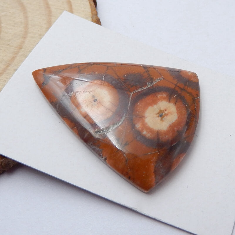 Natural Mushroom Jasper Triangle Gemstone Cabochon, 32x26x6mm, 5.7g - MyGemGarden