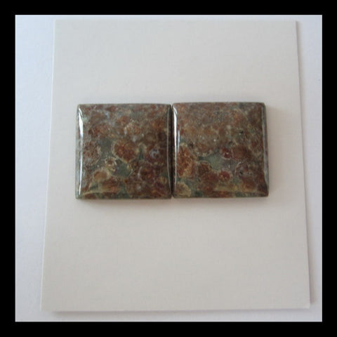 Frog's Eye Cabochon Pair 20x5mm,7.5g - MyGemGarden
