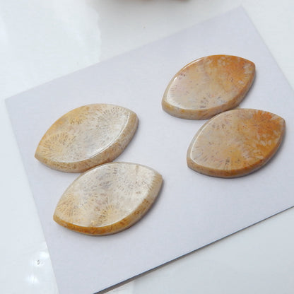 2 Pairs Natural Indonesian Fossil Coral Marquise Gemstone Cabochons, 25x16x3mm, 11.8g - MyGemGarden