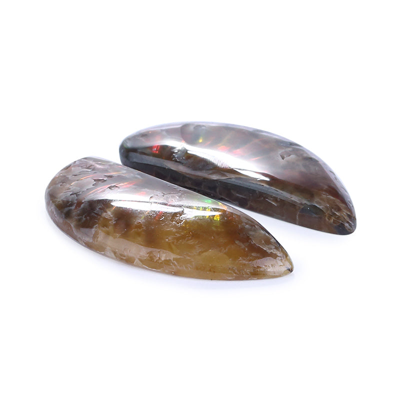 New Arrival Ammonite Fossil Cabochon Pair 27x12x4mm,4g - MyGemGarden