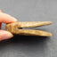Natural Nephrite Jade Carved Cicada Pendant Bead,58x43x17mm, 60g
