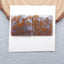 Natural Ocean Jasper Cabochons Paired 17x17x2mm, 3.6g
