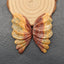 Natural Ocean Jasper Carved Cabochons Paired 55x28x5mm, 16.1g