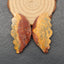 Natural Ocean Jasper Carved Cabochons Paired 55x28x5mm, 16.1g