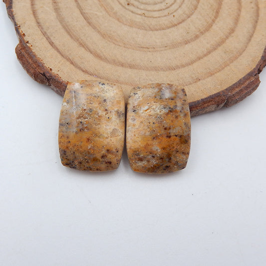 Paire de cabochons en pierre gemme d'opale en bois pétrifié naturel, 18x13x4mm, 3.2g