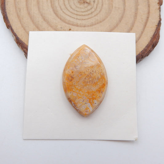 Cabochon de pierre précieuse ovale de corail fossile indonésien naturel, 26X16X4mm, 3.5g
