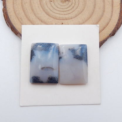 Natural Dendritic Agate Cabochons Paired 19x14x4mm, 5.0g