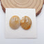Natural Indonesian Coral Cabochons Paired 17x14x4mm, 3.4g