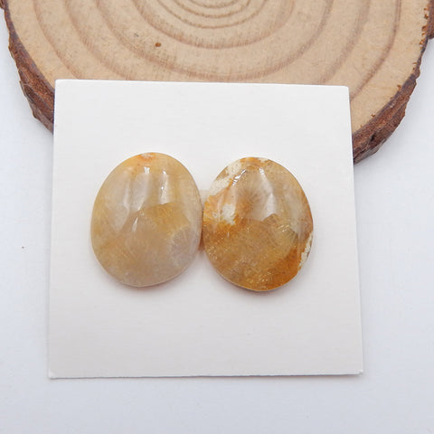 Natural Indonesian Coral Cabochons Paired 17x14x4mm, 3.4g