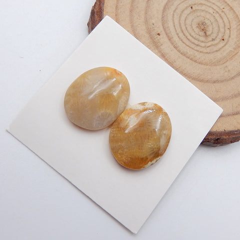 Natural Indonesian Coral Cabochons Paired 17x14x4mm, 3.4g
