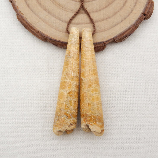 Nugget Perle de boucle d'oreille en corail fossile indonésien, 50 x 21 x 3 mm, 7 g
