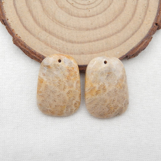 天然印尼化石珊瑚泪珠耳环一对，用于制作耳环的石头，40x12x4mm，5.8g