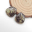 Natural Mushroom Jasper Earring Beads 18x17x5mm, 6.1g