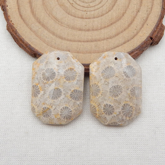 Paire de boucles d'oreilles en corail fossile indonésien naturel, pierre pour la fabrication de boucles d'oreilles, 26X19X4mm, 7.9g
