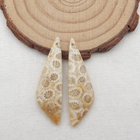 天然印尼化石珊瑚耳环一对，用于制作耳环的石头，35x13x4 毫米，4.6 克