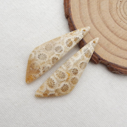 Paire de boucles d'oreilles en corail fossile indonésien naturel, pierre pour la fabrication de boucles d'oreilles, 35x13x4mm, 4.6g