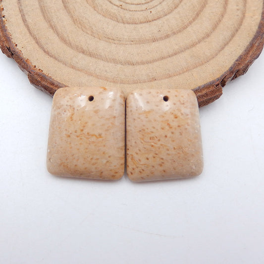 Paire de boucles d'oreilles en pierres précieuses fossiles de noix de coco naturelle, 19 x 16 x 4 mm, 4,7 g