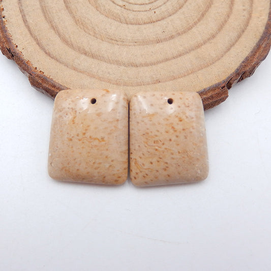 Natural Coconut Fossil Earring Beads 19x16x4mm, 4.7g