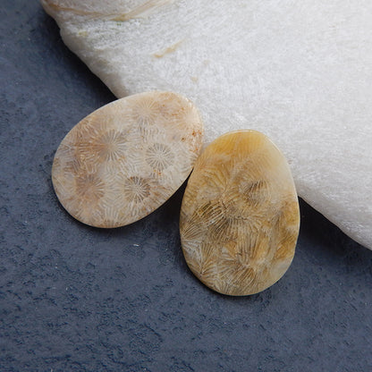 Natural Indonesian Coral Cabochons Paired 28X20X2mm, 4.0g