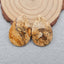 Natural Picture Jasper Earring Beads 30x20x4mm, 7.7g