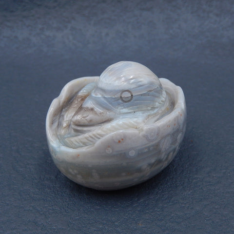 Natural Ocean Jasper Carved bird Cabochon 42x35x33mm, 61.6g